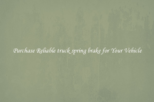 Purchase Reliable truck spring brake for Your Vehicle