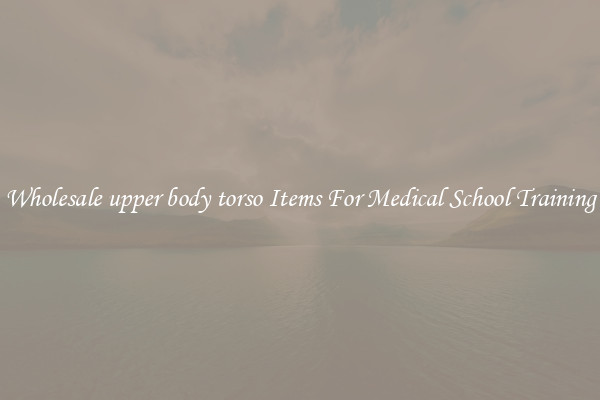 Wholesale upper body torso Items For Medical School Training