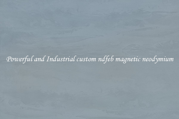 Powerful and Industrial custom ndfeb magnetic neodymium