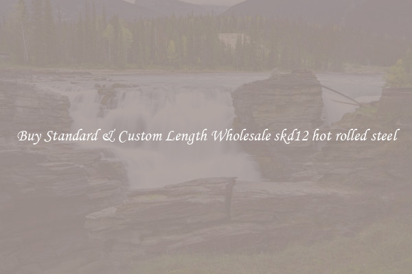 Buy Standard & Custom Length Wholesale skd12 hot rolled steel