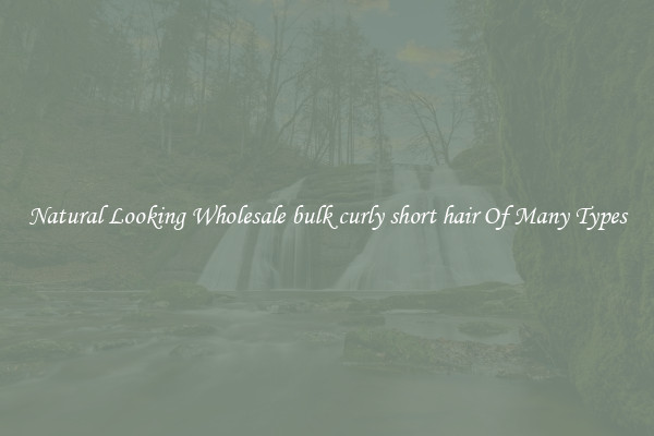 Natural Looking Wholesale bulk curly short hair Of Many Types