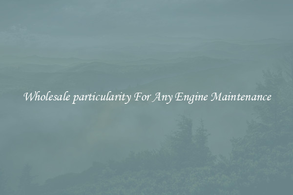 Wholesale particularity For Any Engine Maintenance
