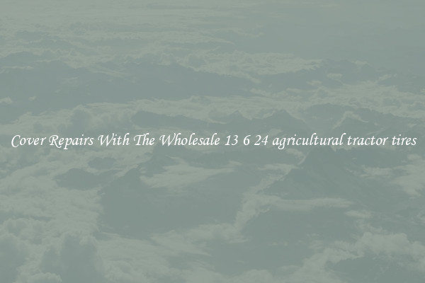  Cover Repairs With The Wholesale 13 6 24 agricultural tractor tires 