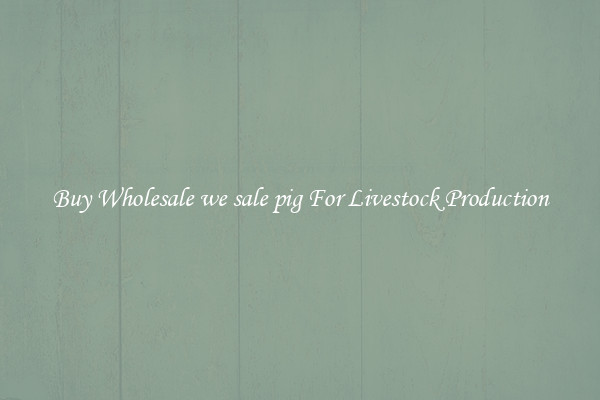 Buy Wholesale we sale pig For Livestock Production