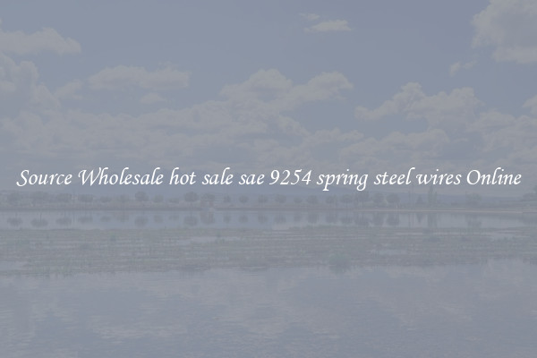 Source Wholesale hot sale sae 9254 spring steel wires Online