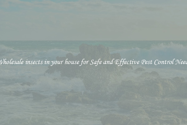 Wholesale insects in your house for Safe and Effective Pest Control Needs
