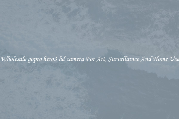 Wholesale gopro hero3 hd camera For Art, Survellaince And Home Use