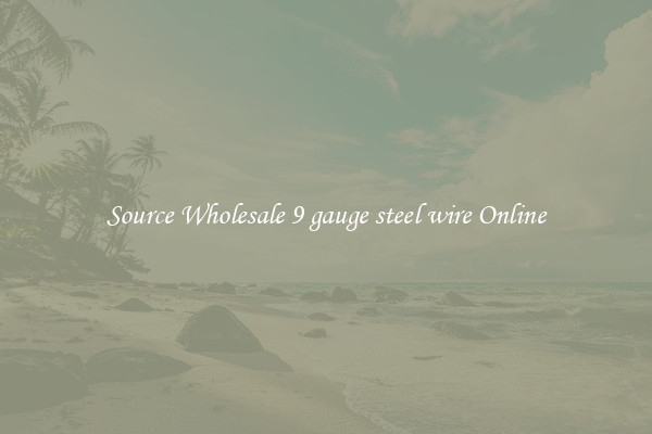 Source Wholesale 9 gauge steel wire Online