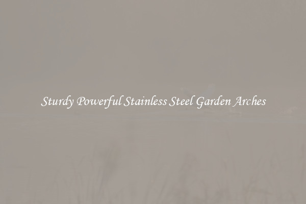 Sturdy Powerful Stainless Steel Garden Arches