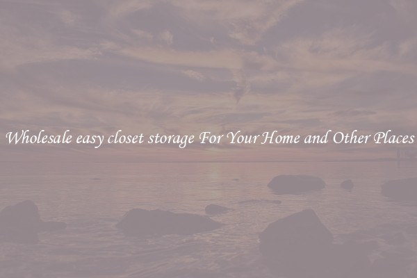 Wholesale easy closet storage For Your Home and Other Places