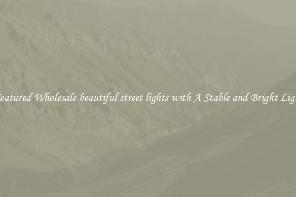 Featured Wholesale beautiful street lights with A Stable and Bright Light