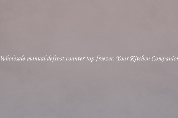 Wholesale manual defrost counter top freezer: Your Kitchen Companion