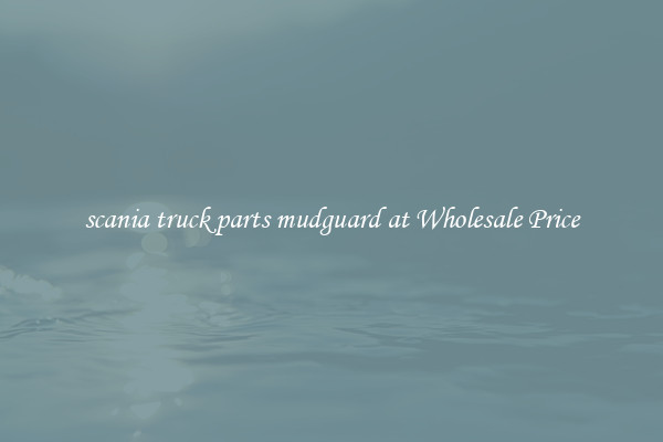 scania truck parts mudguard at Wholesale Price