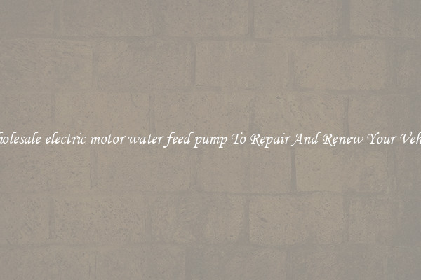 Wholesale electric motor water feed pump To Repair And Renew Your Vehicle