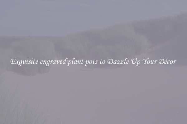 Exquisite engraved plant pots to Dazzle Up Your Décor 