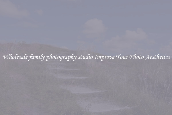 Wholesale family photography studio Improve Your Photo Aesthetics